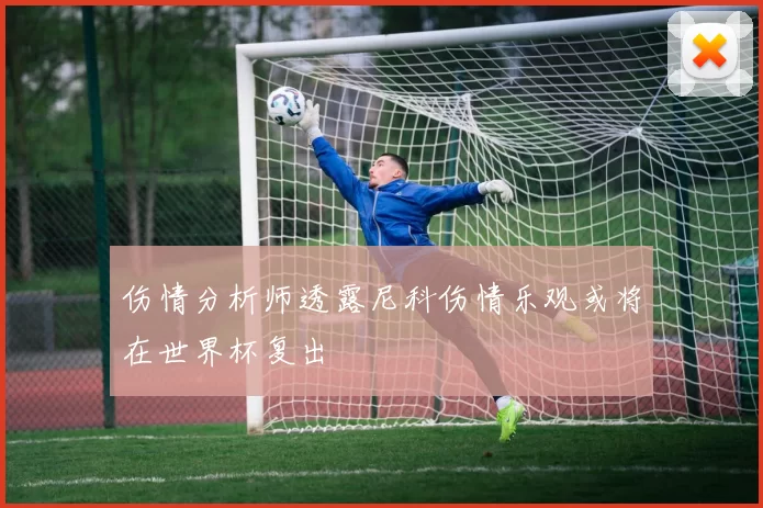 伤情分析师透露尼科伤情乐观或将在世界杯复出